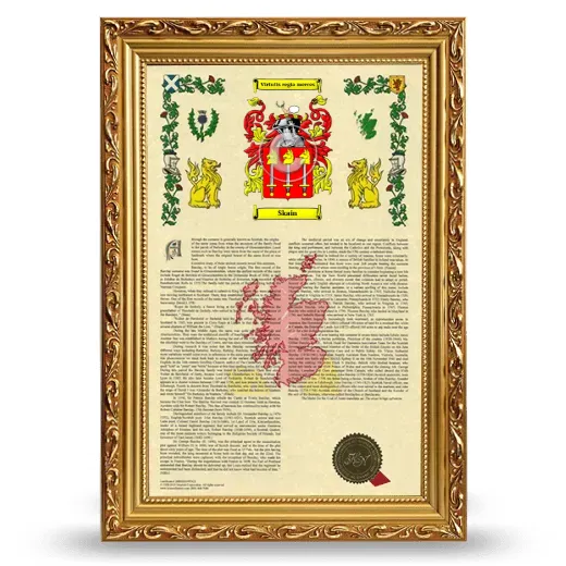 Skain Armorial History Framed - Gold