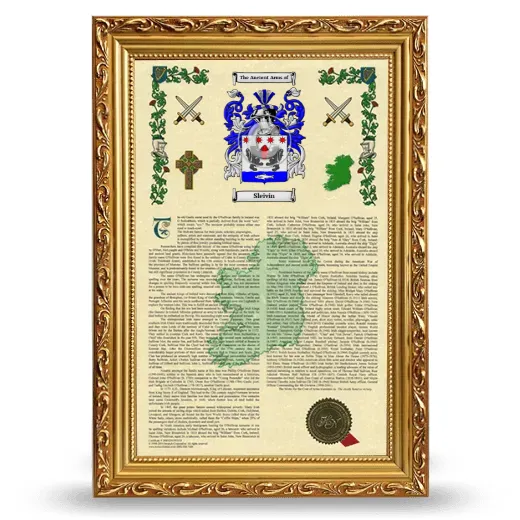 Sleivin Armorial History Framed - Gold