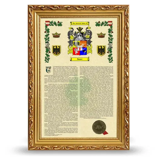 Snarr Armorial History Framed - Gold