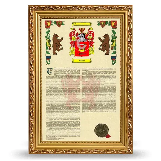 Sokol Armorial History Framed - Gold