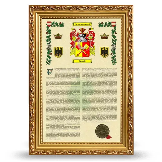 Spaide Armorial History Framed - Gold