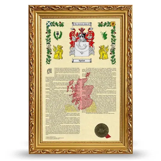Sprint Armorial History Framed - Gold