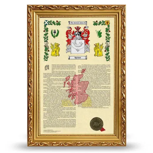 Sprunt Armorial History Framed - Gold