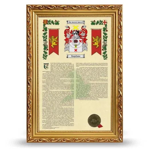 Staychose Armorial History Framed - Gold