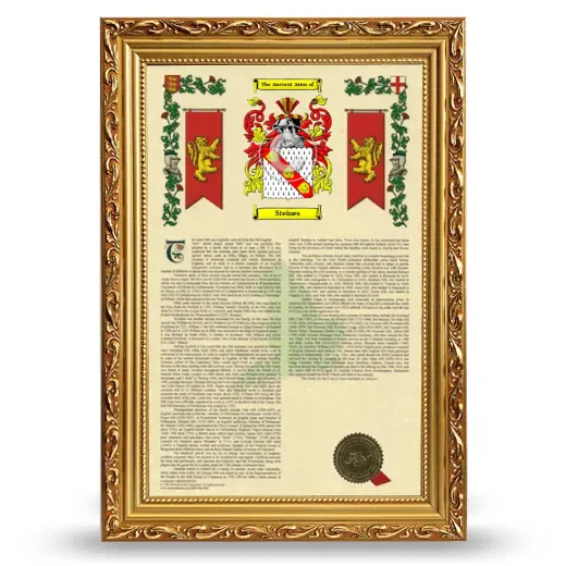 Steines Armorial History Framed - Gold