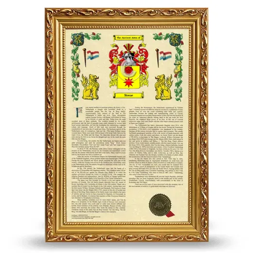 Stene Armorial History Framed - Gold