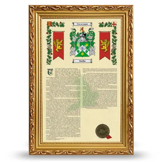Sterba Armorial History Framed - Gold