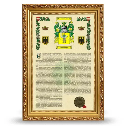 Strohmayer Armorial History Framed - Gold