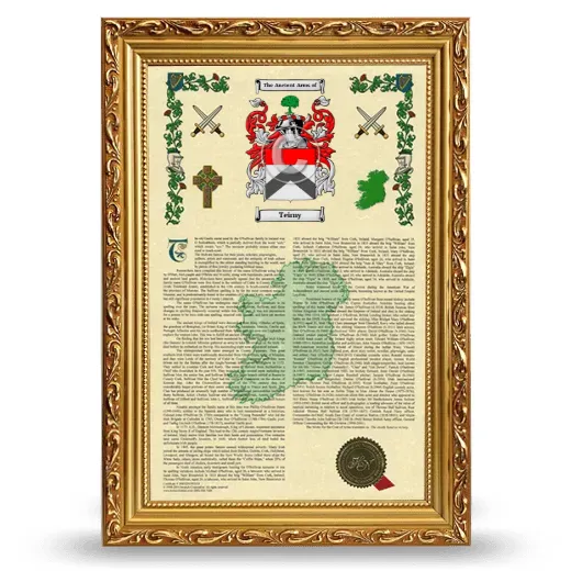 Teirny Armorial History Framed - Gold