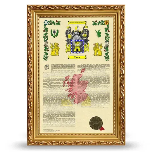 Thorie Armorial History Framed - Gold