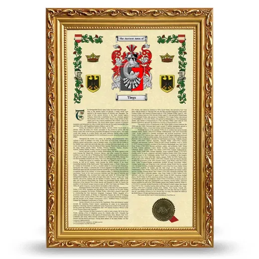 Tiegs Armorial History Framed - Gold