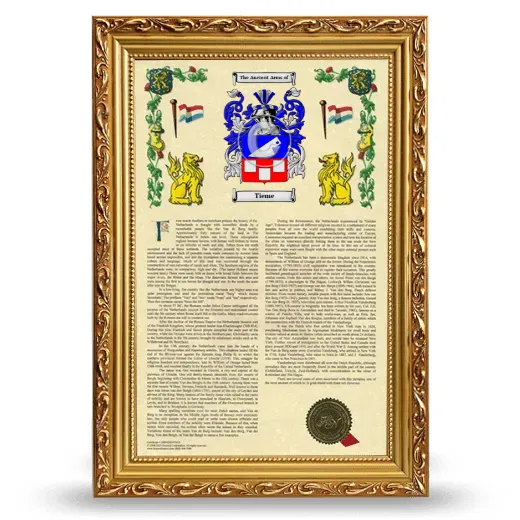 Tieme Armorial History Framed - Gold