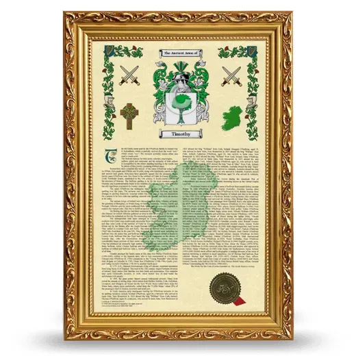 Timothy Armorial History Framed - Gold