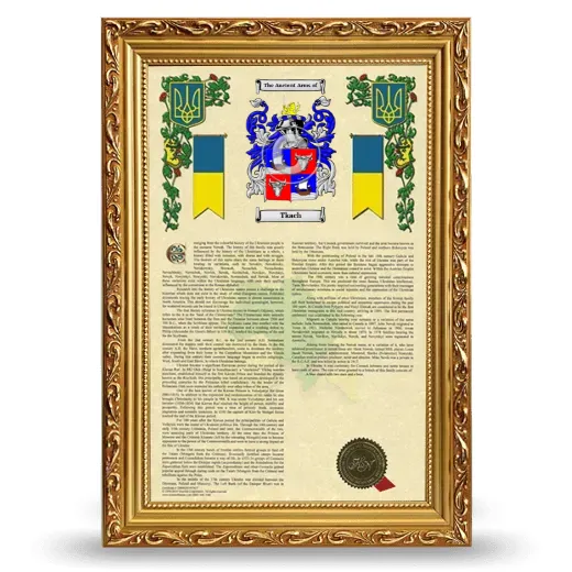 Tkach Armorial History Framed - Gold