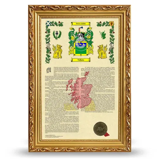 Tolsen Armorial History Framed - Gold