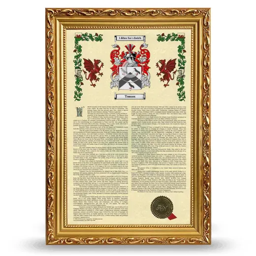 Tomas Armorial History Framed - Gold