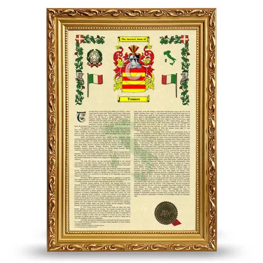 Tomass Armorial History Framed - Gold
