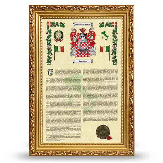 Tomisto Armorial History Framed - Gold