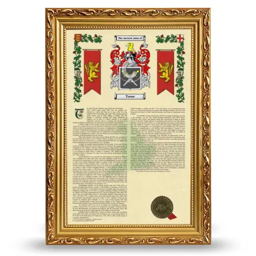 Toose Armorial History Framed - Gold