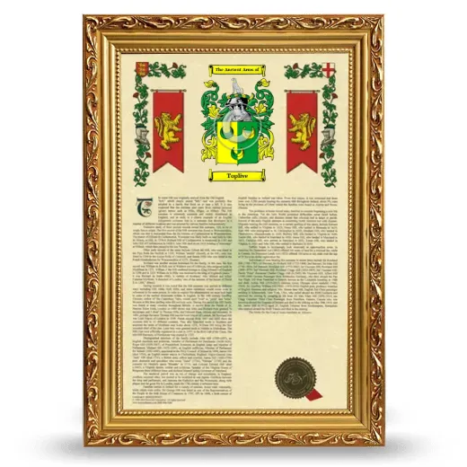 Toplive Armorial History Framed - Gold