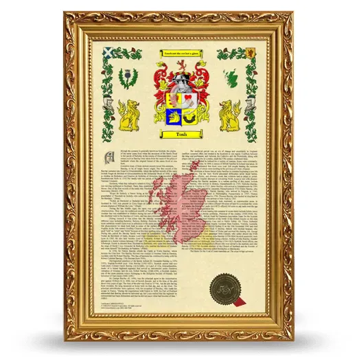 Tosh Armorial History Framed - Gold