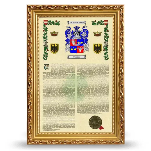 Trenkle Armorial History Framed - Gold
