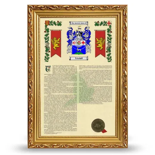 Trindall Armorial History Framed - Gold