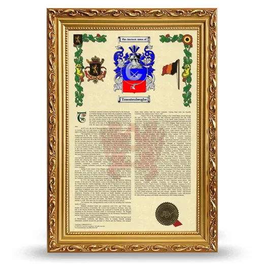 Troostenberghe Armorial History Framed - Gold
