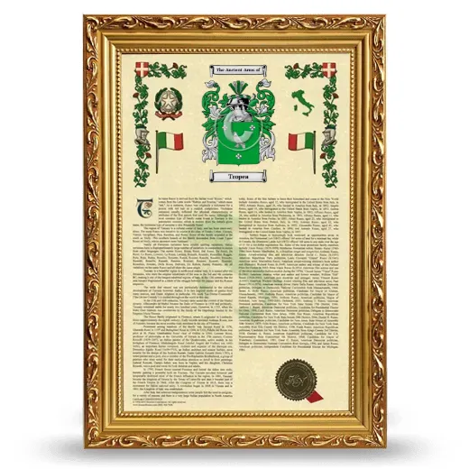 Tropea Armorial History Framed - Gold