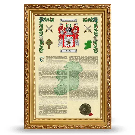 Tuohy Armorial History Framed - Gold