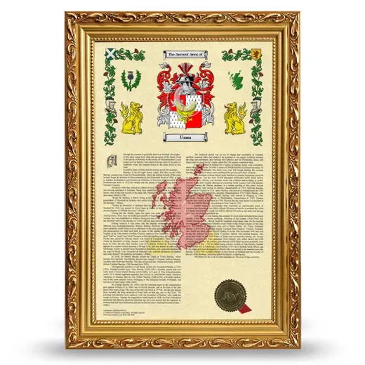 Uson Armorial History Framed - Gold