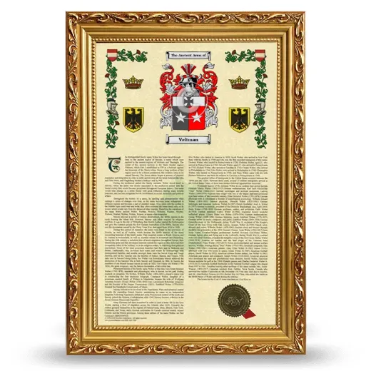 Veltman Armorial History Framed - Gold