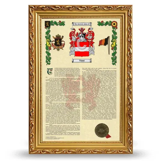 Viani Armorial History Framed - Gold