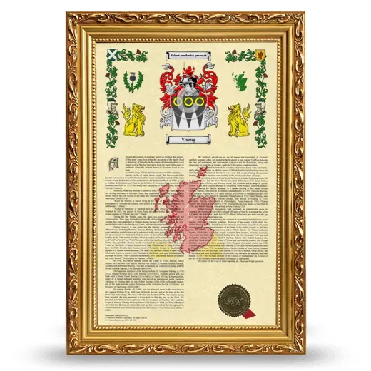 Yoeng Armorial History Framed - Gold