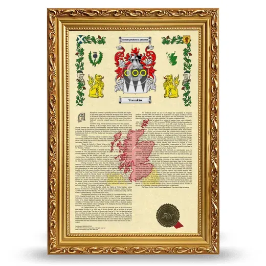 Younkin Armorial History Framed - Gold