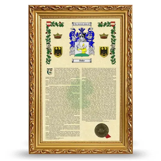 Zinke Armorial History Framed - Gold