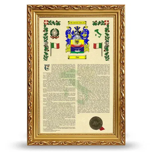 Zisi Armorial History Framed - Gold