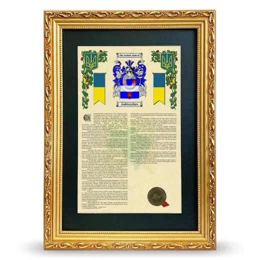 Andrusyshyn Deluxe Armorial Framed - Gold
