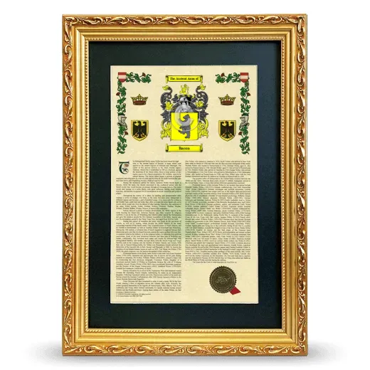 Baron Deluxe Armorial Framed - Gold