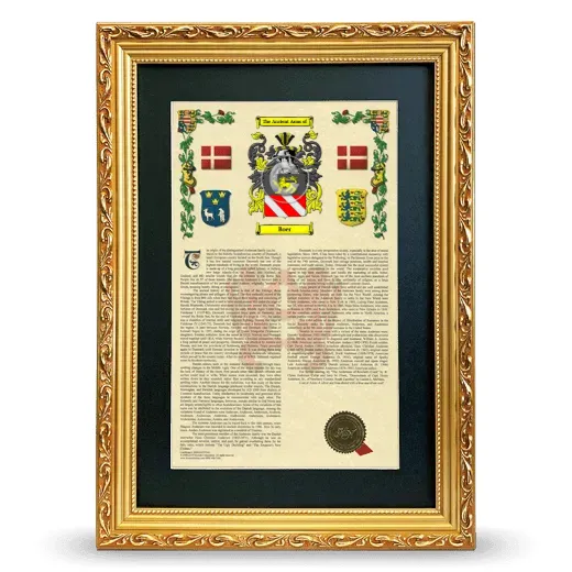Boer Deluxe Armorial Framed - Gold