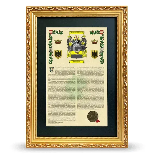 Brackner Deluxe Armorial Framed - Gold
