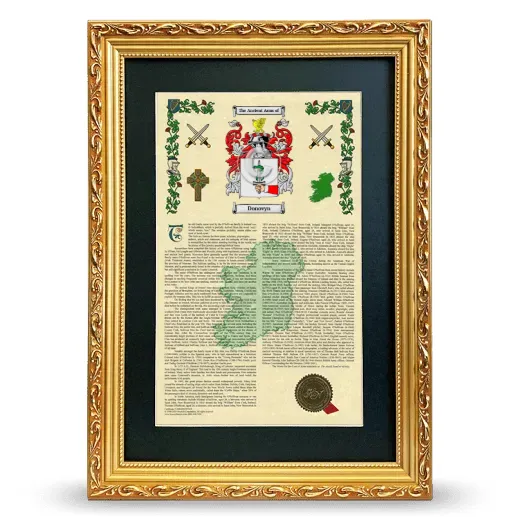 Donovyn Deluxe Armorial Framed - Gold