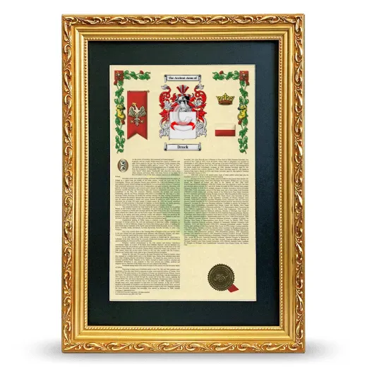 Druck Deluxe Armorial Framed - Gold