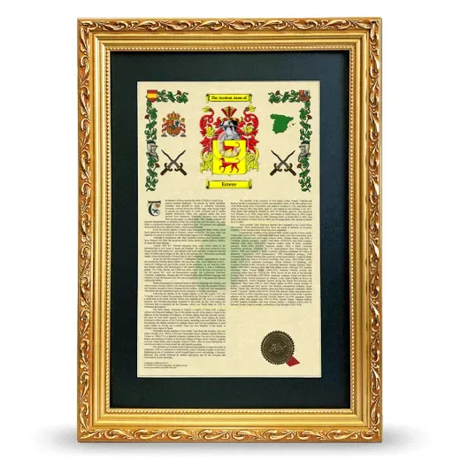 Esteve Deluxe Armorial Framed - Gold