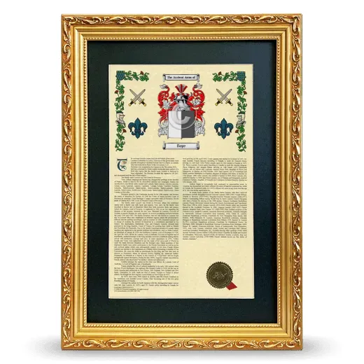 Foye Deluxe Armorial Framed - Gold