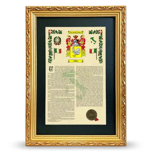 Galiza Deluxe Armorial Framed - Gold