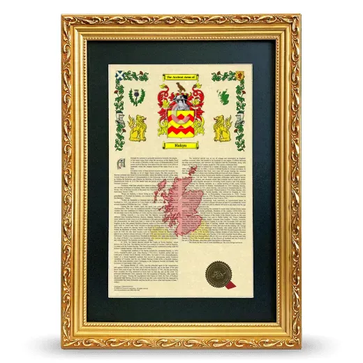 Hakyn Deluxe Armorial Framed - Gold