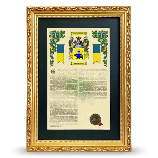 Homonyshyn Deluxe Armorial Framed - Gold