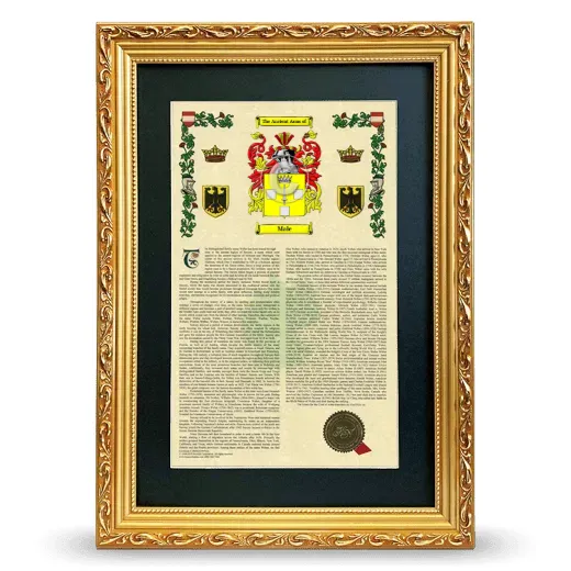 Male Deluxe Armorial Framed - Gold