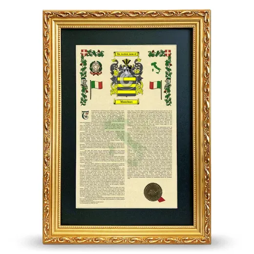 Mancinas Deluxe Armorial Framed - Gold